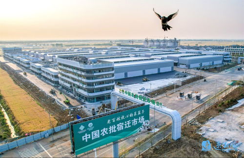 產業旺、村和美、同致富 宿遷集成推進鄉村全面振興的建筑工程實踐